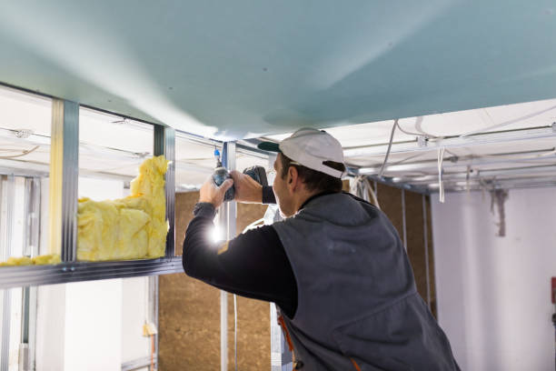 Best Affordable Insulation Services  in Gaston, SC