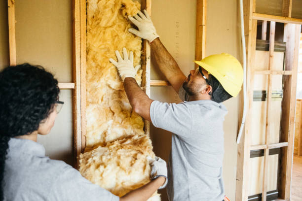 Best Professional Insulation Contractor  in Gaston, SC