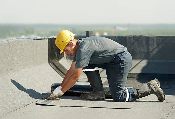 Best Commercial Insulation Contractor  in Gaston, SC