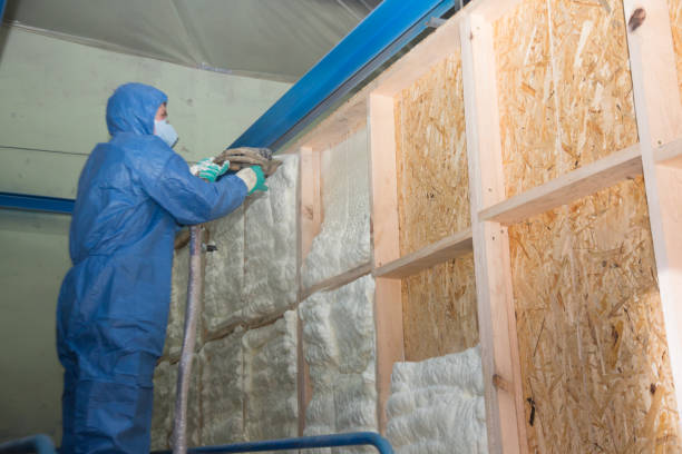 Best Attic Insulation Installation  in Gaston, SC