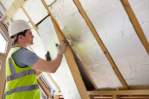 Best Local Insulation Services  in Gaston, SC