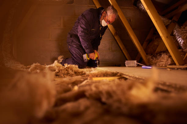 Best Residential Insulation Services  in Gaston, SC